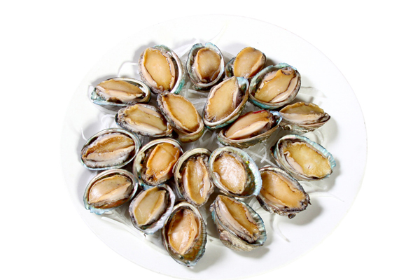 鮑魚(yú)膏